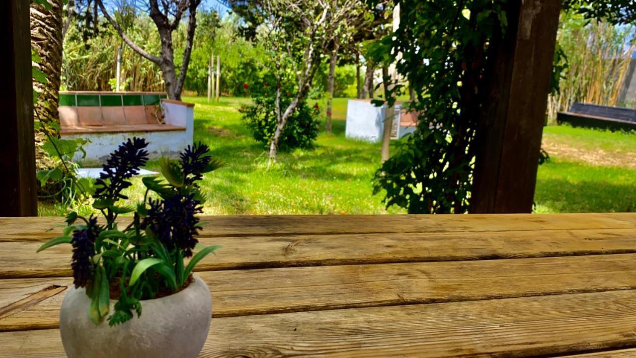 ホテル Banti Garden タリファ エクステリア 写真
