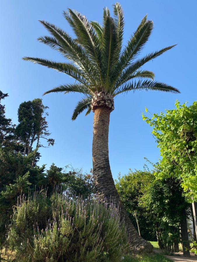 ホテル Banti Garden タリファ エクステリア 写真