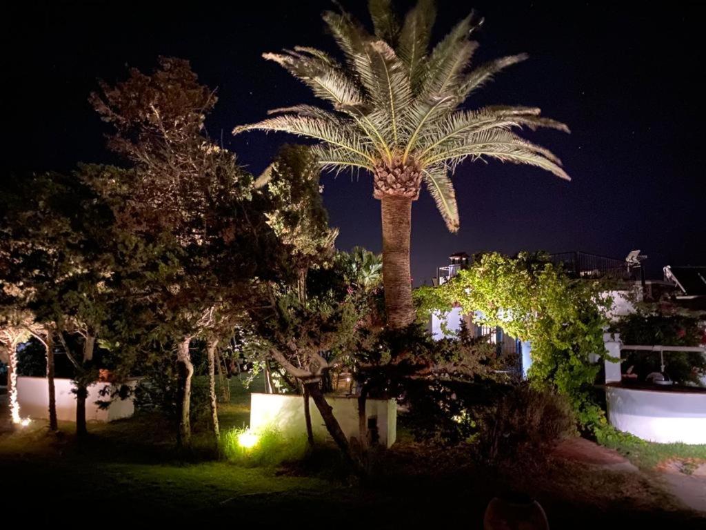 ホテル Banti Garden タリファ エクステリア 写真