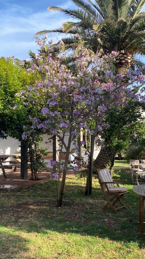 ホテル Banti Garden タリファ エクステリア 写真