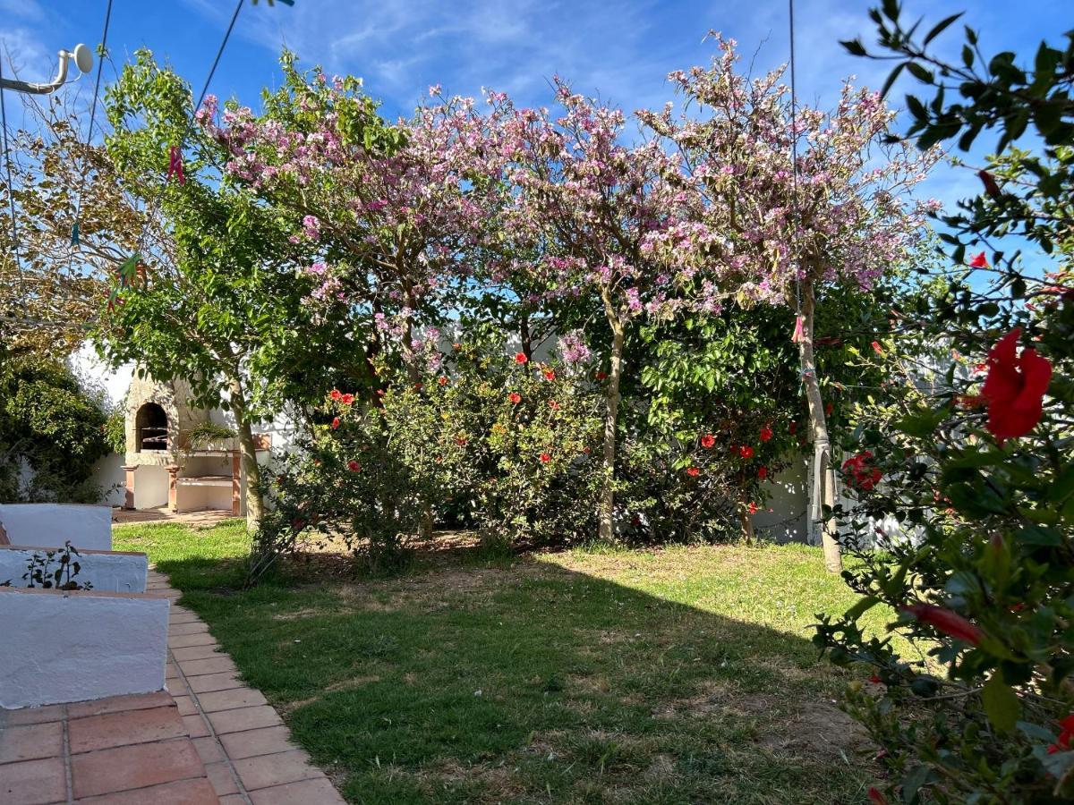 ホテル Banti Garden タリファ エクステリア 写真