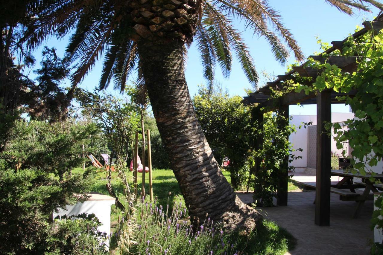 ホテル Banti Garden タリファ エクステリア 写真
