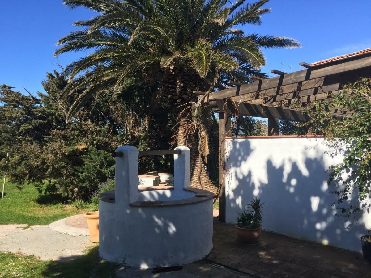 ホテル Banti Garden タリファ エクステリア 写真