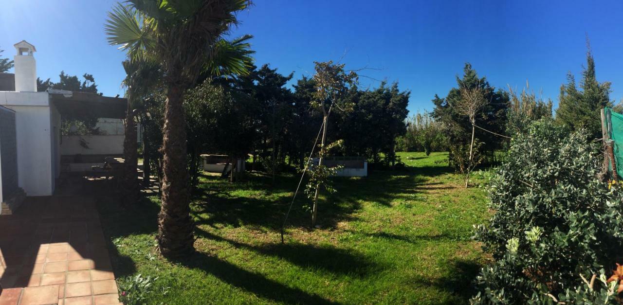 ホテル Banti Garden タリファ エクステリア 写真