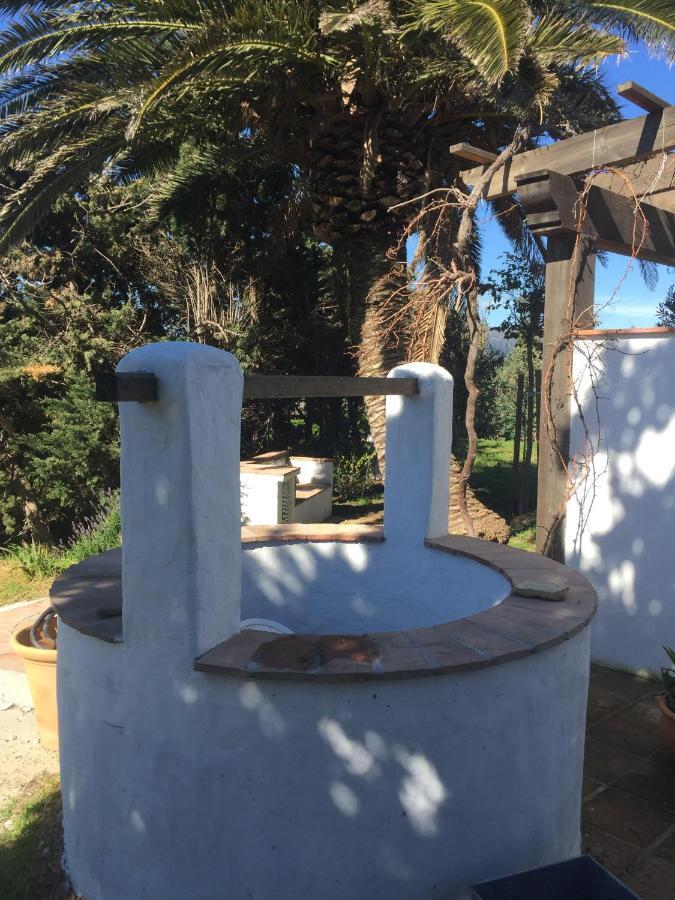 ホテル Banti Garden タリファ エクステリア 写真
